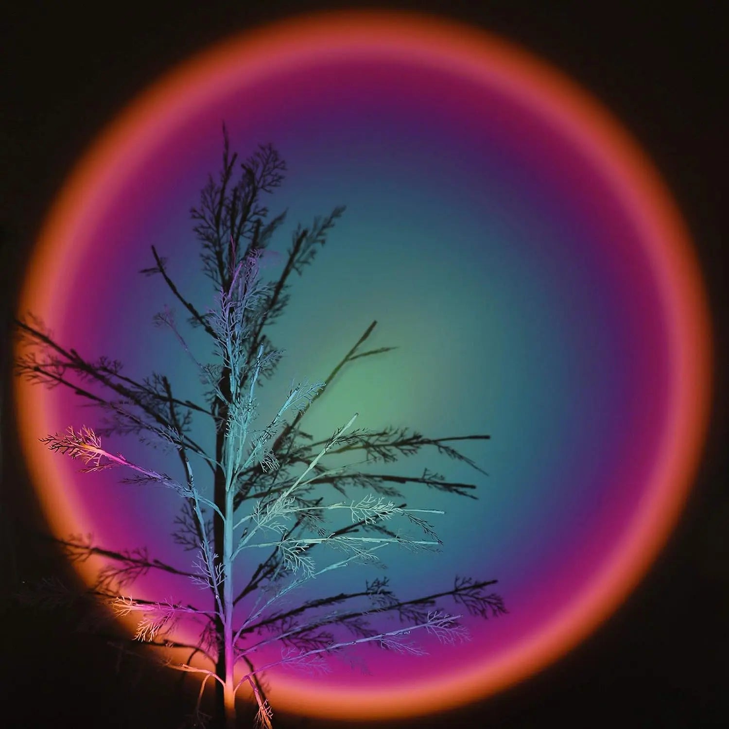 🌈 LUZ DE AMBIENTE PARA FOTOS – USB ROOM ATMOSPHERE LIGHT | EFECTO ESTÉTICO INSTANTÁNEO